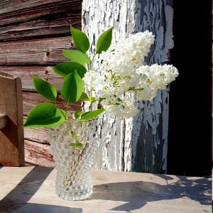 vas-bubblor-rosice-glas-sklo-union-jan-schmid-1